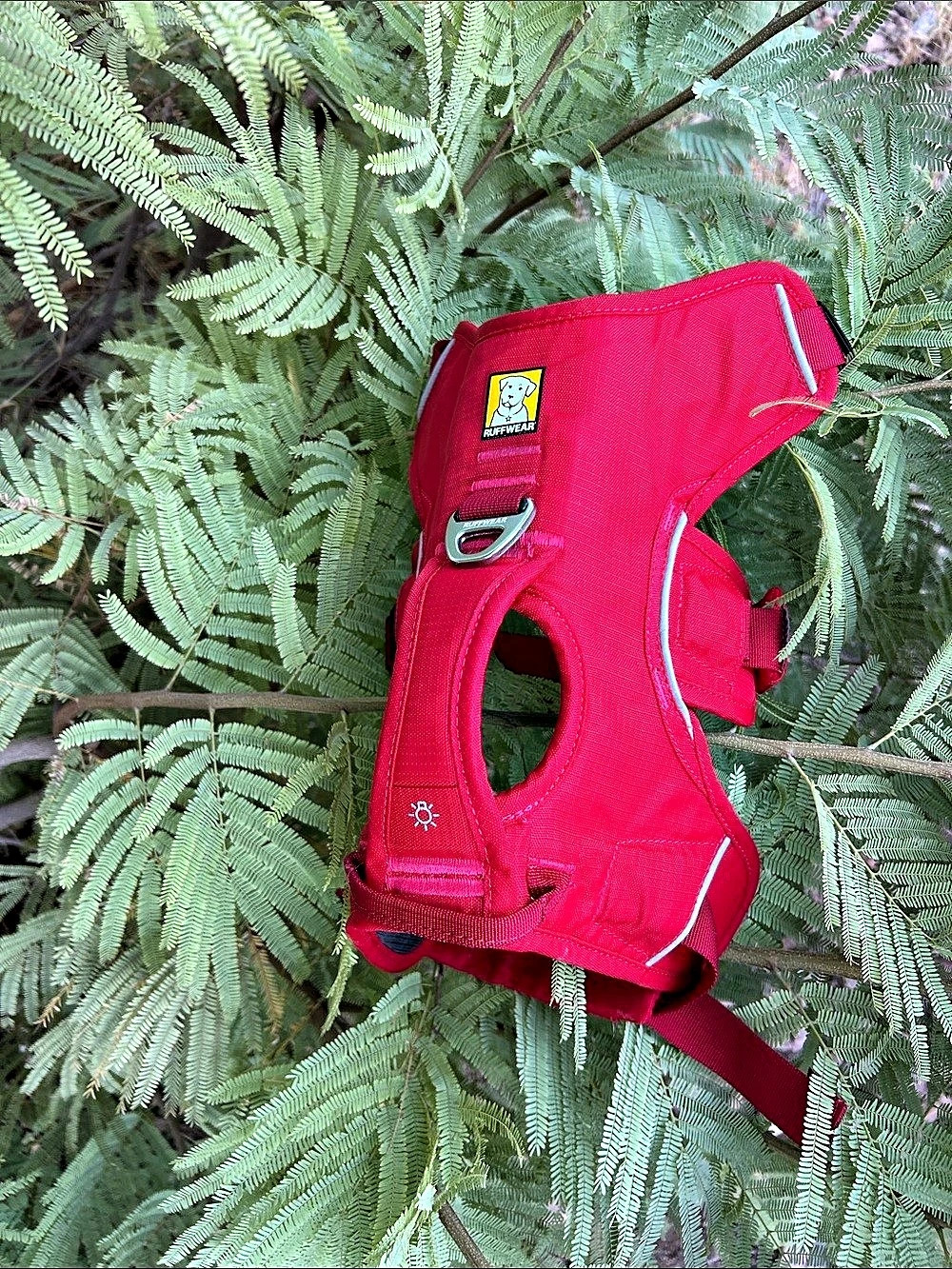 Ruffwear Webmaster Dog Harness Red Size Small